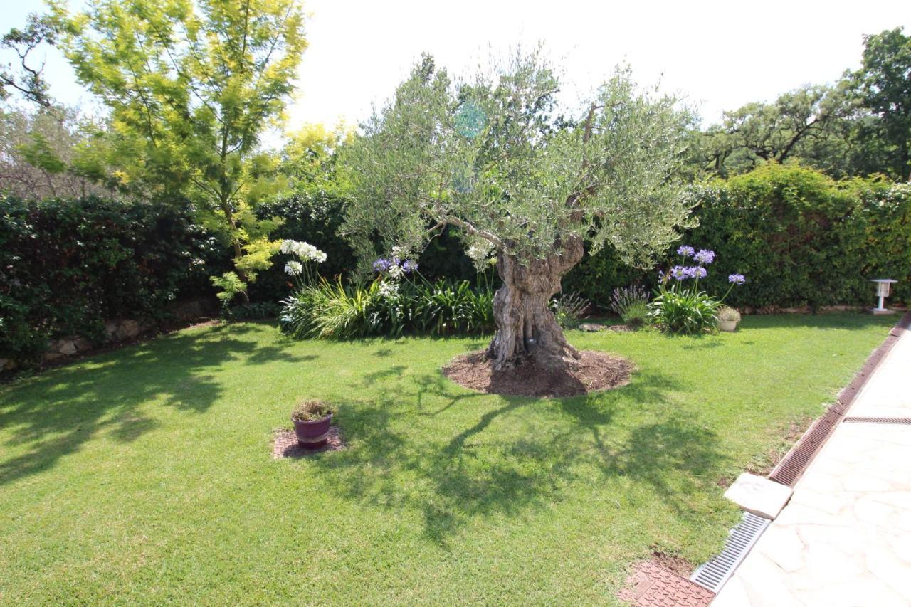 روكفور-لا-بين Villa Jalna Chambre, Suites Et Appartement المظهر الخارجي الصورة